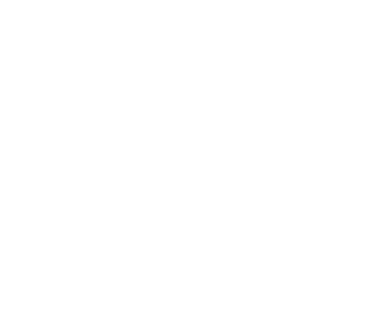 MMService logo